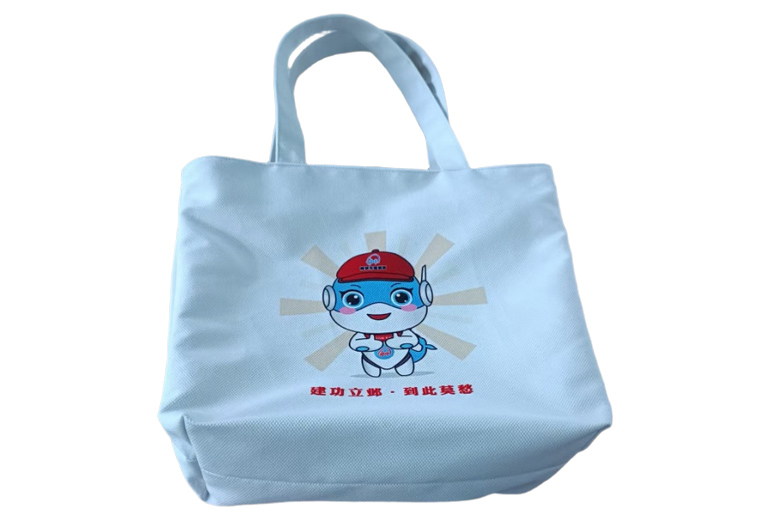 Gahumi Case-Nanjing Government Custom Canvas Bags-02.jpg
